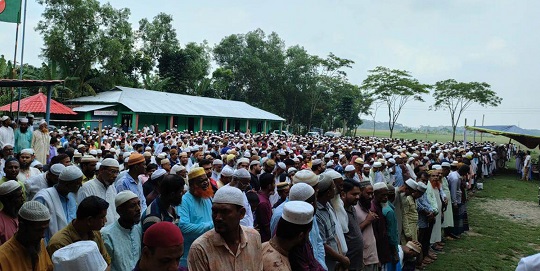 image-here